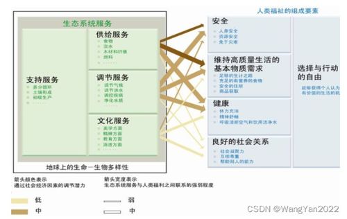 INVEST模型實踐與進階 在生態系統服務評估與城市研究中的核心應用及技術服務體系